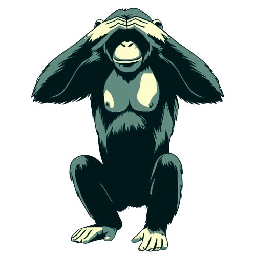 Actividades de escalada en Pontevedra - Socio