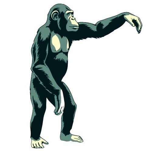 Actividades de escalada no Morrazo